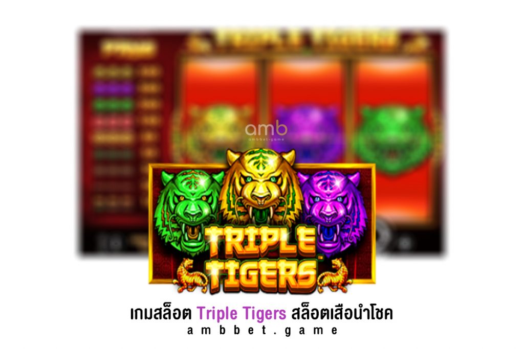 เกมสล็อต Triple Tigers สล็อตเสือนำโชค